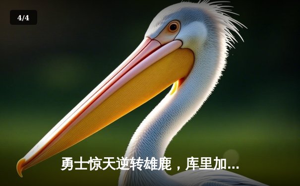 勇士惊天逆转雄鹿，库里加时赛狂砍12分锁定胜局 - 4